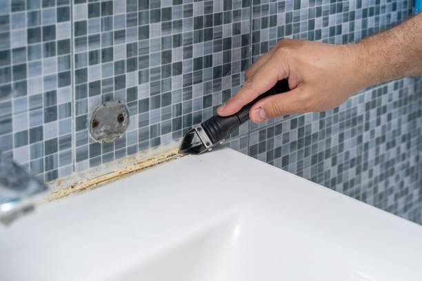 Best Mold Removal Process  in Struthers, OH
